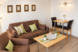 Wohnzimmer im 2 Zimmer Appartement